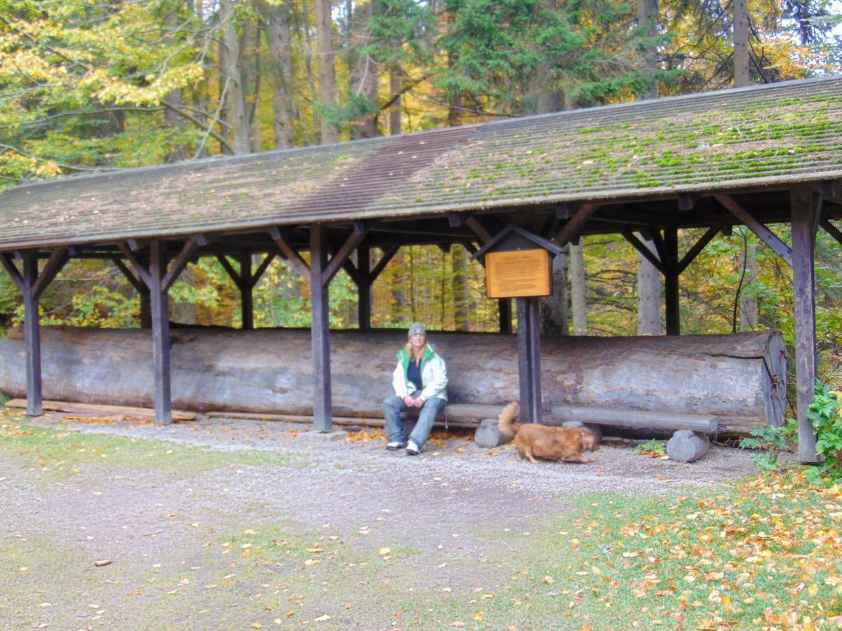 Kemp pod Boubínem Horní Vltavice Exterior foto